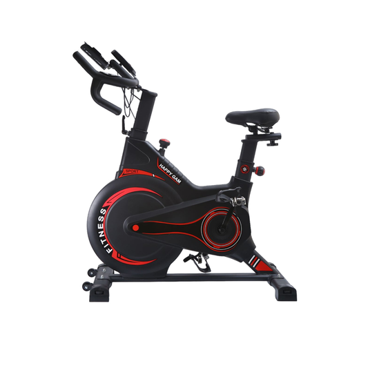 BICICLETA DE SPINNING